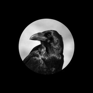 幼女自慰网站网址入口免费观看
