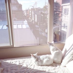 幼女自慰网站网址入口免费观看
